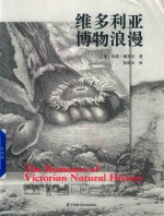 维多利亚博物浪漫