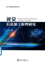 视觉信息加工原理研究