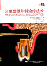 牙髓显微外科治疗技术
