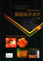 眼底病手术学
