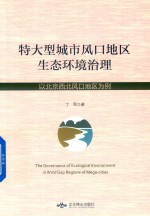 特大型城市风口地区生态环境治理