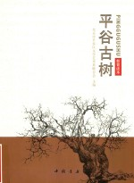 平谷古树