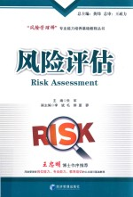 风险评估