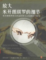 放大米开朗琪罗的细节