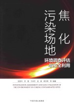 焦化污染场地环境调查评估与安全利用