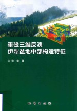 重磁三维反演伊犁盆地中部构造特征