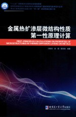 金属热扩渗层微结构性质第一性原理计算