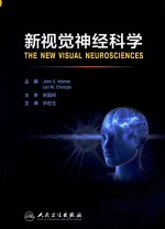 新视觉神经科学