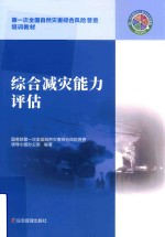 综合减灾能力评估