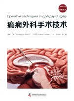 癫痫外科手术技术 原书第2版