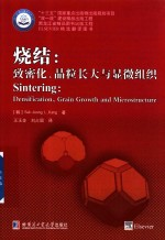 烧结 致密化,晶粒长大与显微镜组织