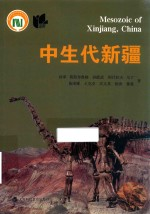 中生代新疆
