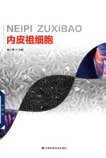 内皮祖细胞