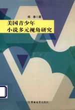 美国青少年小说多元视角研究