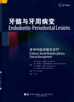 牙髓与牙周病变 多学科临床循证诊疗