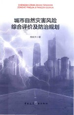 城市自然灾害风险综合评价及防治规划
