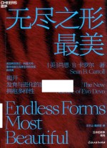 无尽之形最美