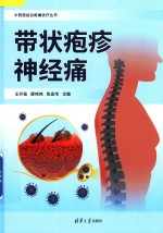中西医结合疼痛诊疗丛书 带状疱疹神经痛