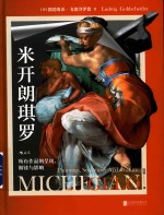 米开朗琪罗 所有作品的呈现,解读与影响