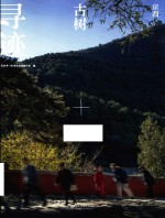 京西古树寻迹 门头沟古树