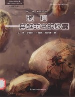 地球的生命故事 中国古生物学家的发现之旅 第2辑 璀璨远古 琥珀 穿越时空的胶囊