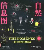 自然信息图 一目了然的万物奇观