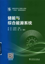 储能与综合能源系统