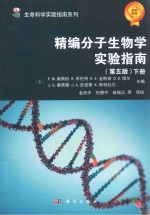 精编分子生物学实验指南 第5版 下