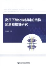 高压下硅化物材料的结构预测和物性研究